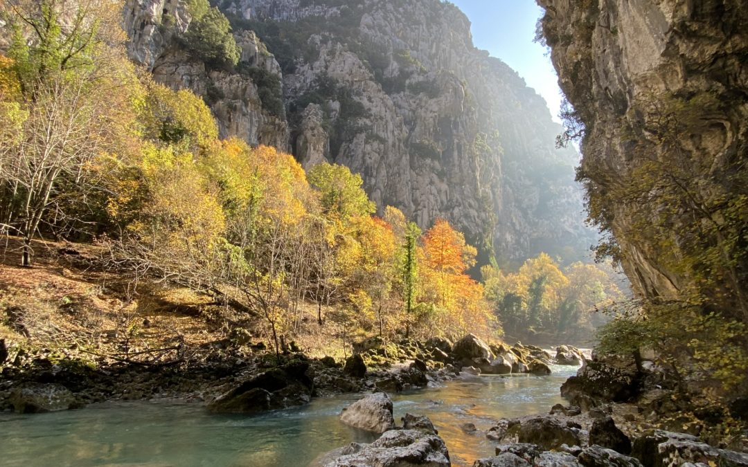 L’EGOÏSME: UNE QUALITE, UN DEFAUT ?