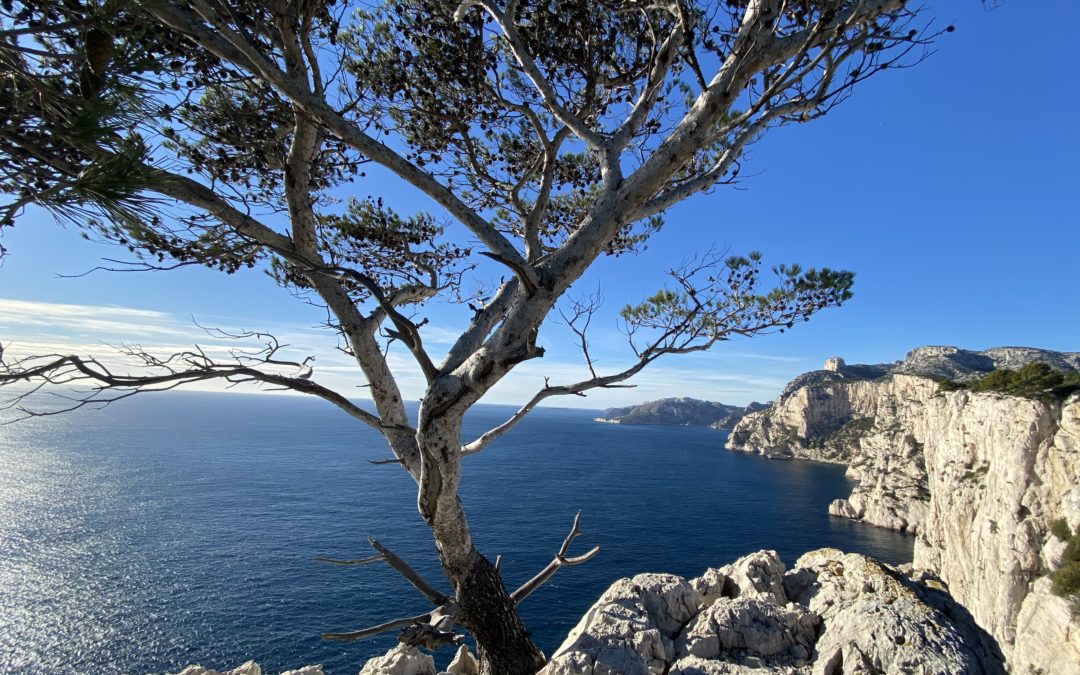 PODCAST: COMMENT ÉVITER DE SE FAIRE MANIPULER